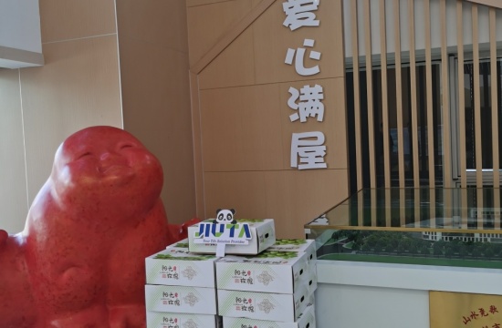 玩彩网爱心月捐赠活动